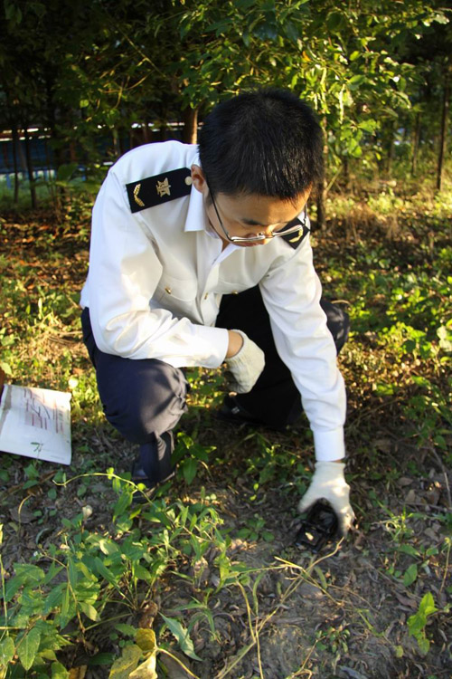 ̽���������������